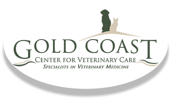 Specialty Veterinary Care in Long Island NY Specialty Veterinary Care in Long Island NY